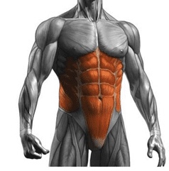 عضلات کر (Core Muscles)